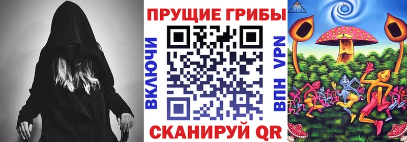 Галлюциногенные грибы Cubensis  Ленинградская 